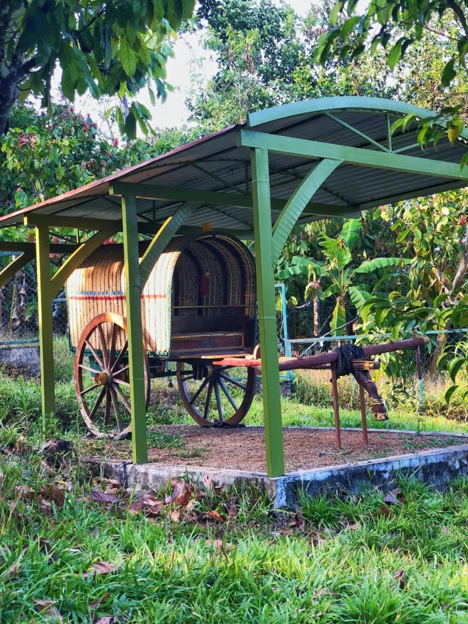 Traditional Villa Munnar Ngoại thất bức ảnh